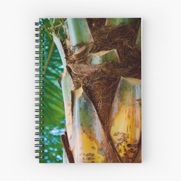 Item preview, Colors of a Palm Tree designed and sold by DyrneSefa.