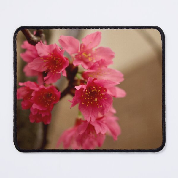 Item preview, Pink Flower Blossoms designed and sold by DyrneSefa.