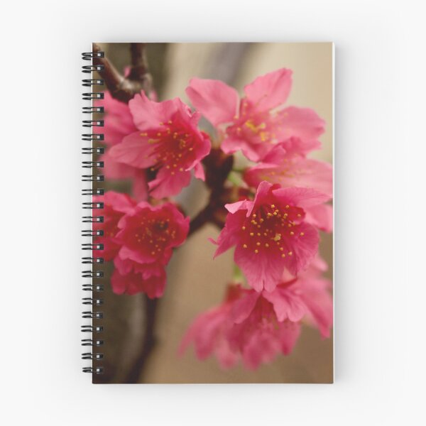 Item preview, Pink Flower Blossoms designed and sold by DyrneSefa.