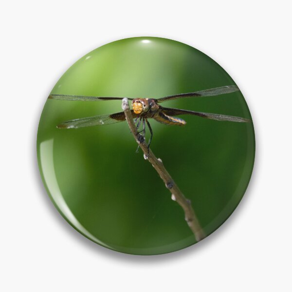 Item preview, Head on view of Widow Skimmer dragonfly on a small stick designed and sold by Stretch Clendennen.