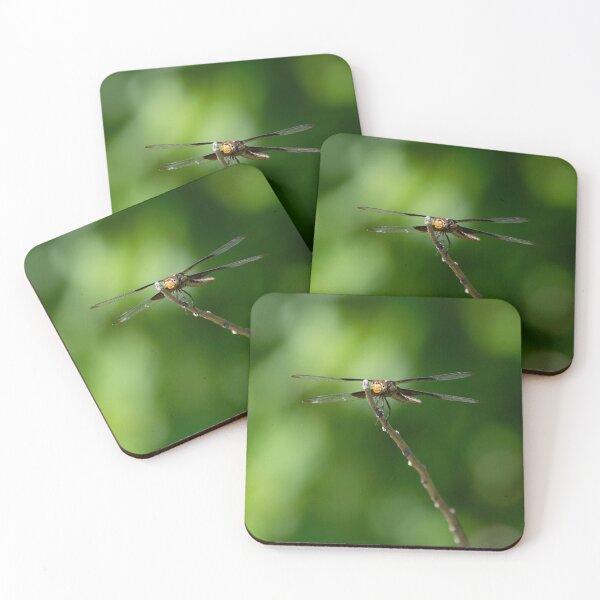Item preview, Head on view of Widow Skimmer dragonfly on a small stick designed and sold by Stretch Clendennen.