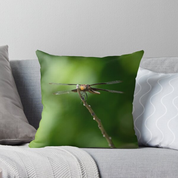 Item preview, Head on view of Widow Skimmer dragonfly on a small stick designed and sold by Stretch Clendennen.