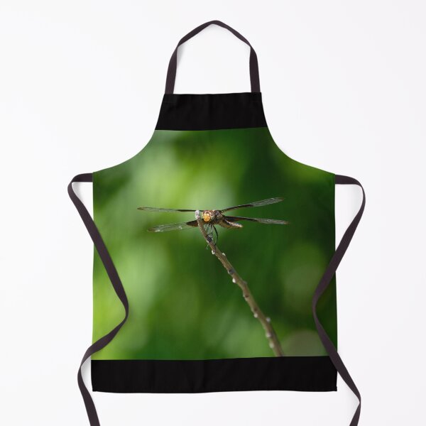 Item preview, Head on view of Widow Skimmer dragonfly on a small stick designed and sold by Stretch Clendennen.