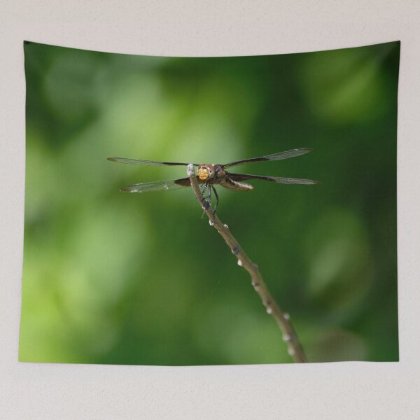 Item preview, Head on view of Widow Skimmer dragonfly on a small stick designed and sold by Stretch Clendennen.