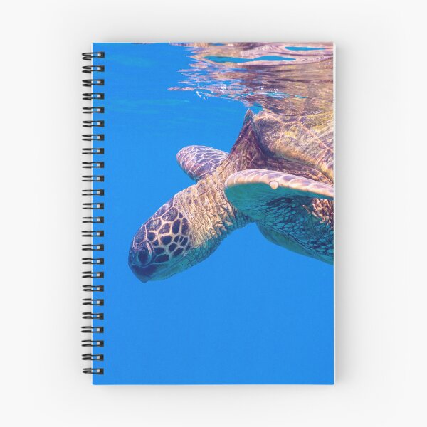 Item preview, Swimming with ancients designed and sold by rinphoto.