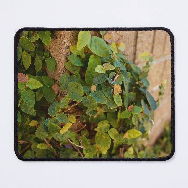 Item preview, Flat Foliage on Brick Wall designed and sold by DyrneSefa.