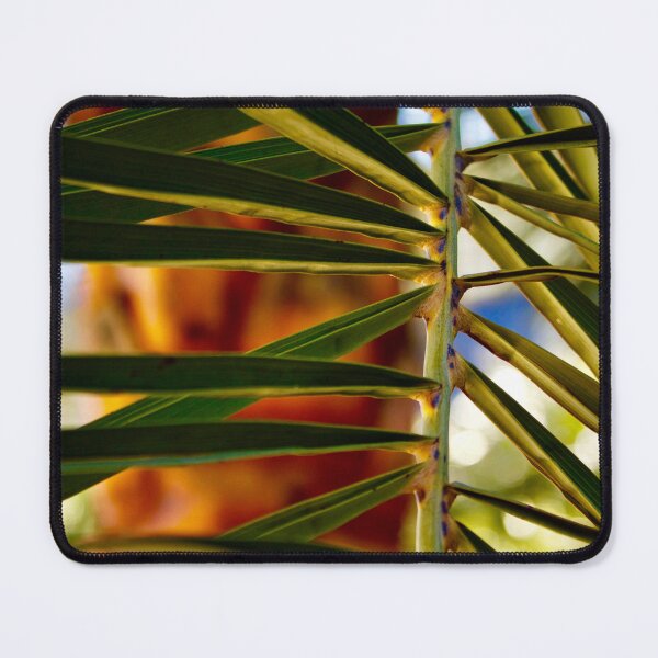 Item preview, Focused Frond designed and sold by DyrneSefa.