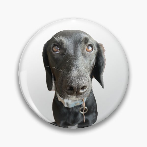 Item preview, Lindo diseño springador designed and sold by tortoise18.