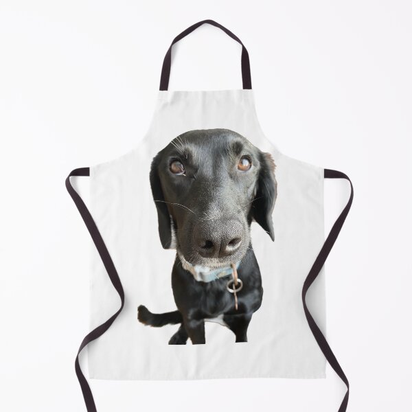 Item preview, Cute springador design designed and sold by tortoise18.