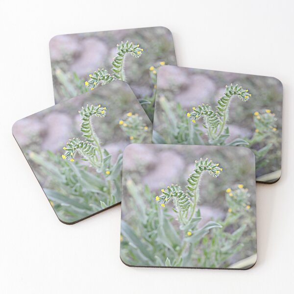 Item preview, Tiny yellow desert flower designed and sold by Nightkast.