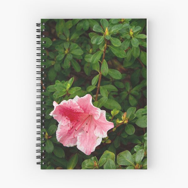 Item preview, A Spot of Color designed and sold by DyrneSefa.