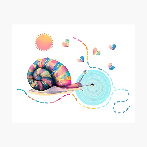 Rainbow Snail Trail Photographic Print