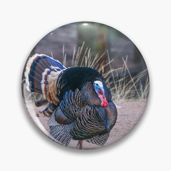 Item preview, Strutting designed and sold by Danny Key.