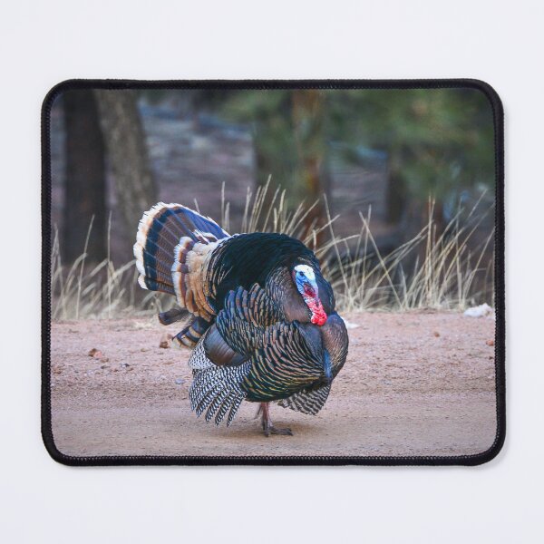 Item preview, Strutting designed and sold by Danny Key.