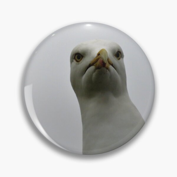 Item preview, Staring Seagull designed and sold by Zoe Cox.