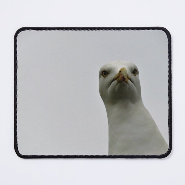 Item preview, Staring Seagull  designed and sold by Zoe Cox.