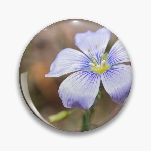Item preview, Prairie Flax  designed and sold by Miriam Gordon.