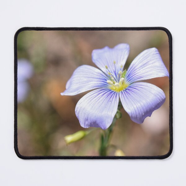 Item preview, Prairie Flax  designed and sold by Miriam Gordon.