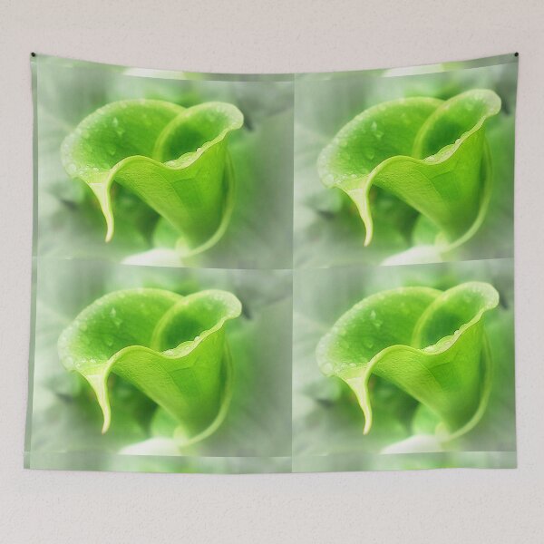 Item preview, Green Calla Lily opening to Life designed and sold by EdsMum.