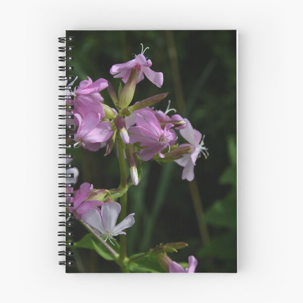 Item preview, Wild Sweet Williams... designed and sold by Poete100.