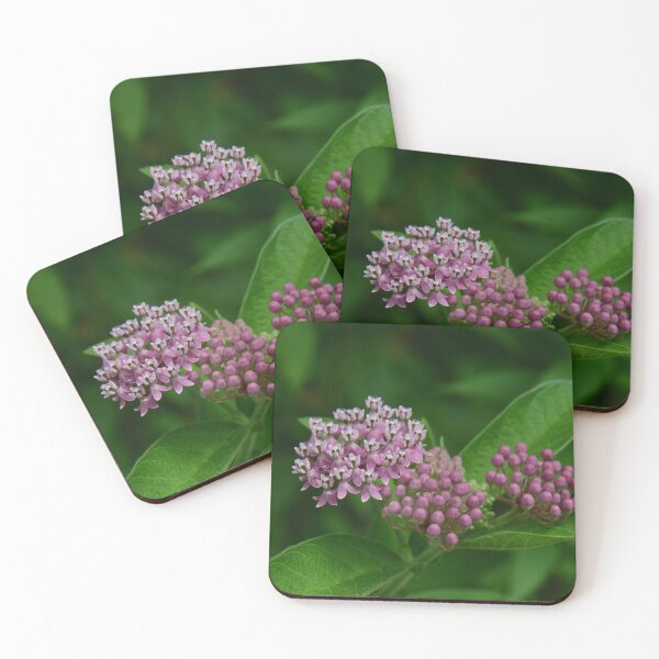 Item preview, Swamp Milkweed... designed and sold by Poete100.