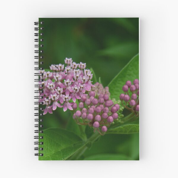 Item preview, Swamp Milkweed... designed and sold by Poete100.