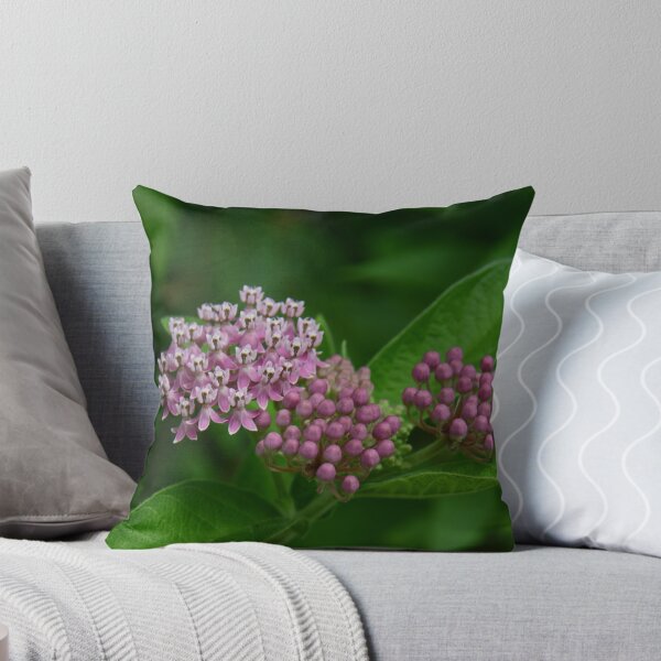 Item preview, Swamp Milkweed... designed and sold by Poete100.