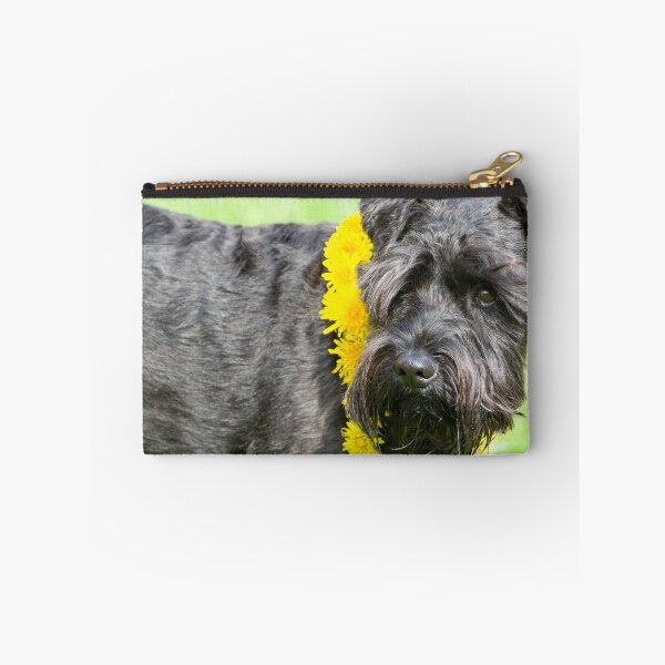 Item preview, Decorated Black Miniature Schnauzer Dog designed and sold by Inimma.