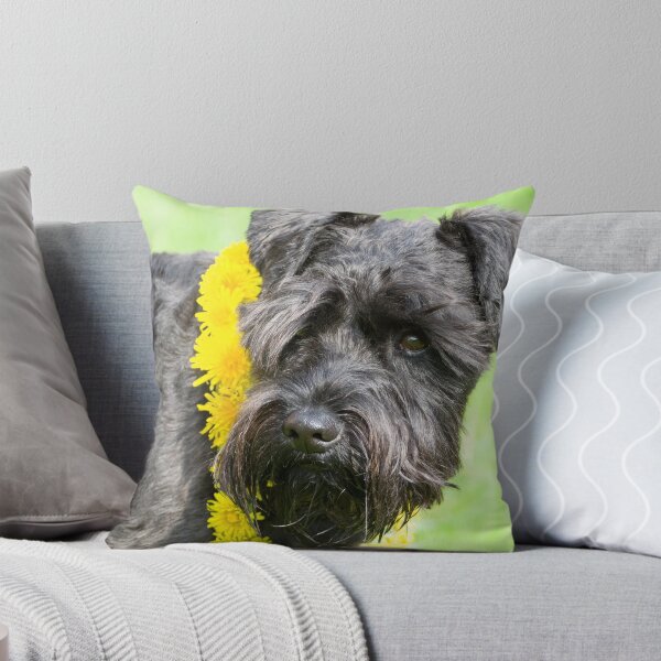 Item preview, Decorated Black Miniature Schnauzer Dog designed and sold by Inimma.