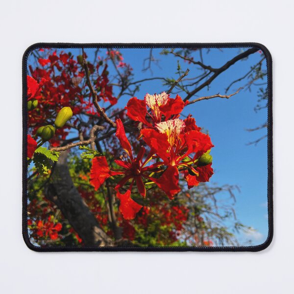 Item preview, flowers designed and sold by Otakus1.