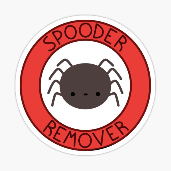 Smol Spooder Boi?