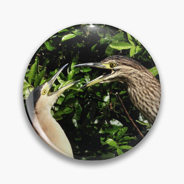 Item preview, Nankeen Knight Herons disagreeing over something designed and sold by Mark Grimsley.