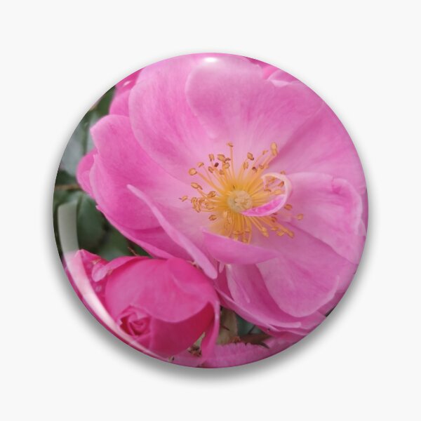 Item preview, Beautiful flowers I took a picture of in California. designed and sold by Agift4u.