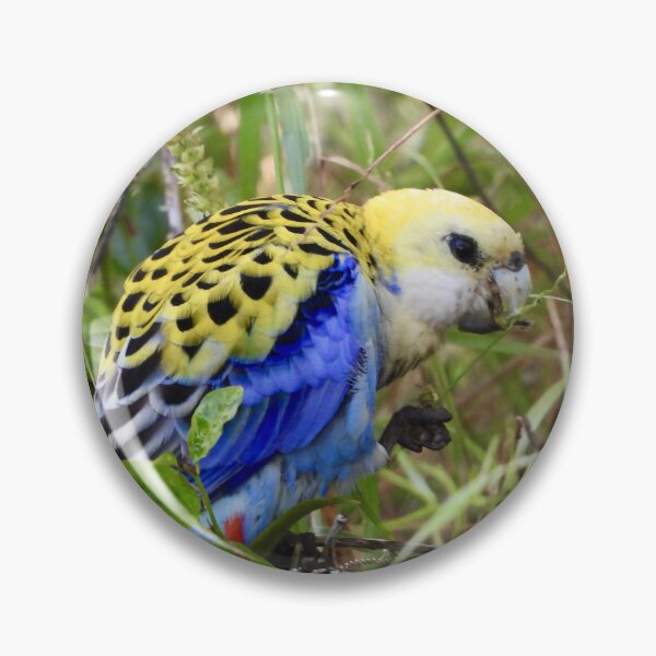 Item preview, Pale-Headed Rosella designed and sold by Mark Grimsley.