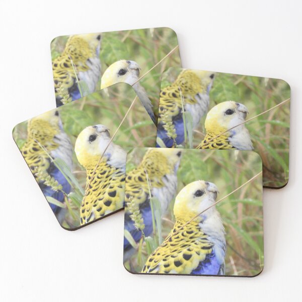Item preview, Pale headed rosellas looking for a lunch  designed and sold by Mark Grimsley.