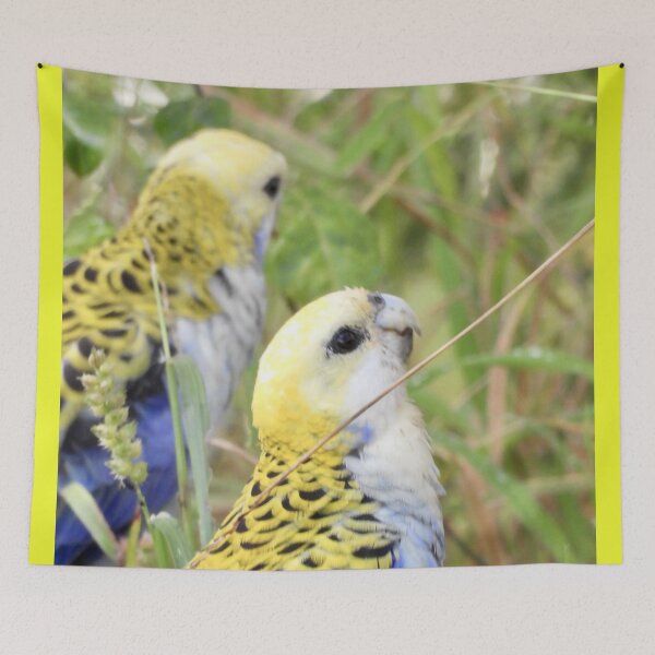 Item preview, Pale headed rosellas looking for a lunch  designed and sold by Mark Grimsley.