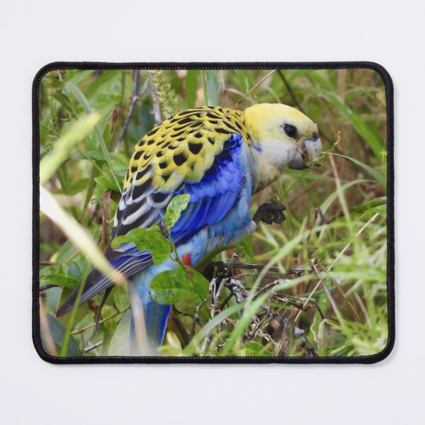 Item preview, Pale-Headed Rosella designed and sold by Mark Grimsley.