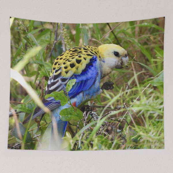 Item preview, Pale-Headed Rosella designed and sold by Mark Grimsley.