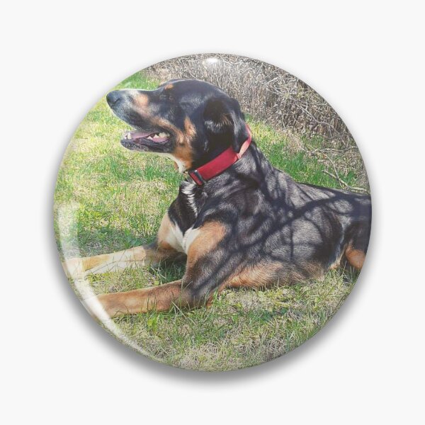 Item preview, Dog Laying In Grass designed and sold by Italian Pitbull Artworks.