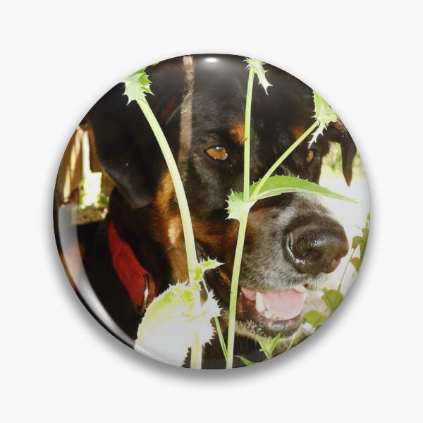 Item preview, Dog Hiding In Grass designed and sold by Italian Pitbull Artworks.