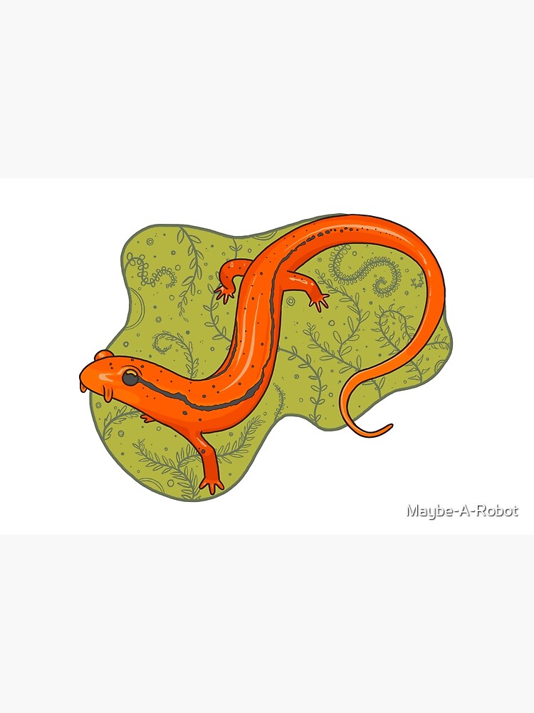 Disover Blue Ridge Two-Lined Salamander | Bath Mat