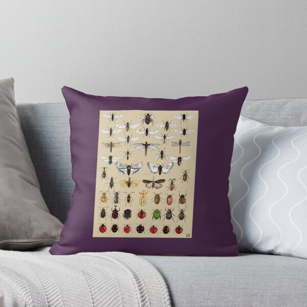 Item preview, Entomology Insect studies collection    	 designed and sold by sebgbycwa33.