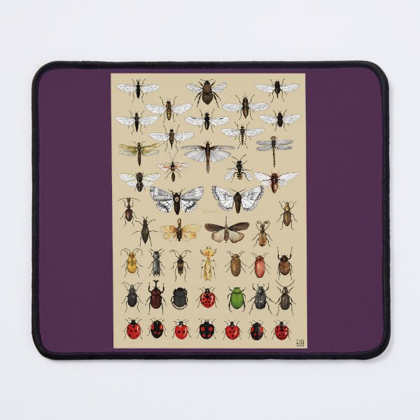 Item preview, Entomology Insect studies collection designed and sold by sebgbycwa33.
