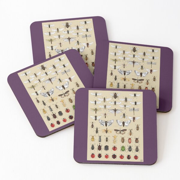 Item preview, Entomology Insect studies collection    	 designed and sold by sebgbycwa33.