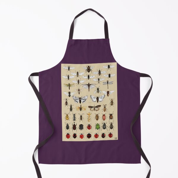 Item preview, Entomology Insect studies collection    	 designed and sold by sebgbycwa33.