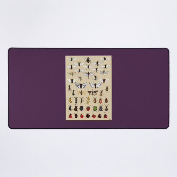 Item preview, Entomology Insect studies collection designed and sold by sebgbycwa33.