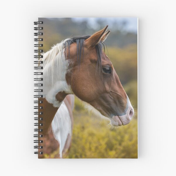 Item preview, Paint colt designed and sold by 42beats.