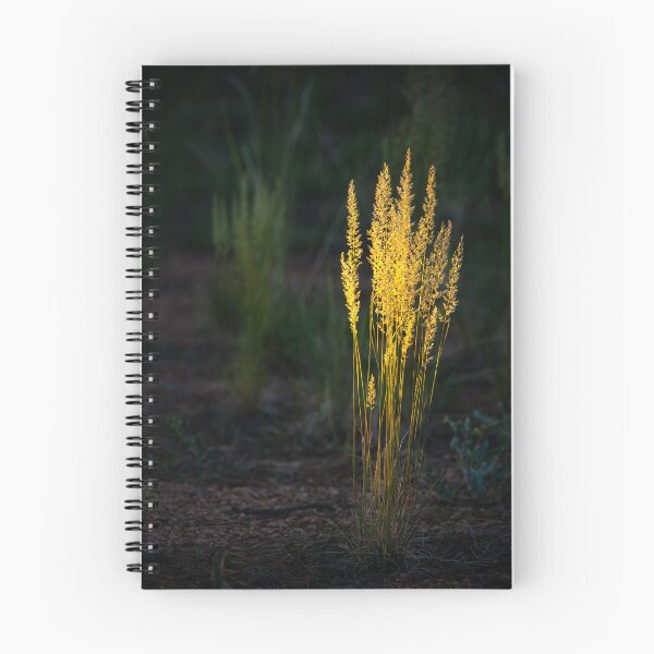 Item preview, Last Light Of Day designed and sold by Danny Key.