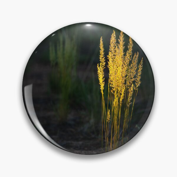 Item preview, Last Light Of Day designed and sold by Danny Key.