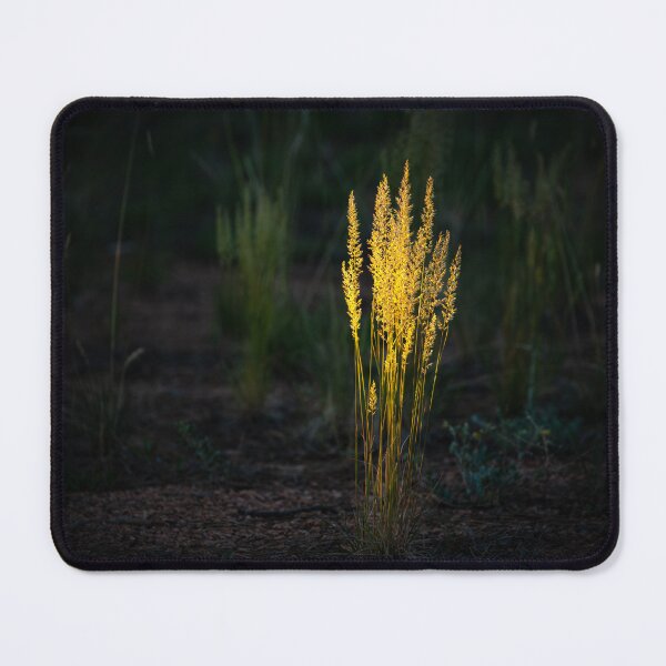 Item preview, Last Light Of Day designed and sold by Danny Key.